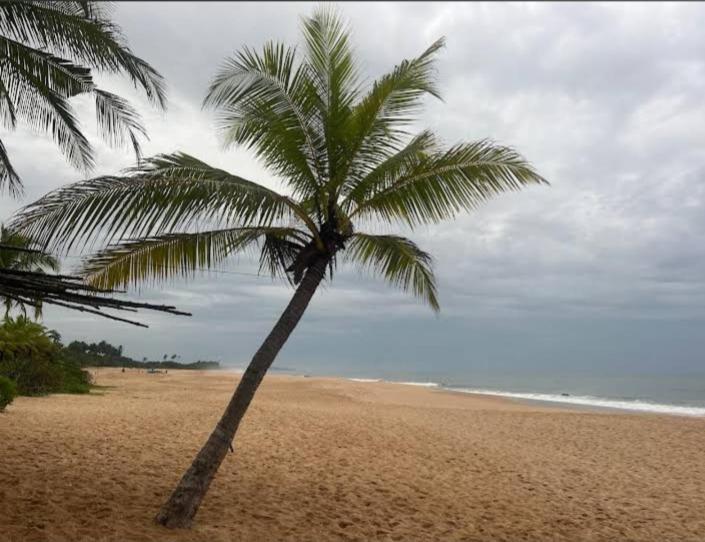 Hotel Golden Bell Tangalle Exterior foto