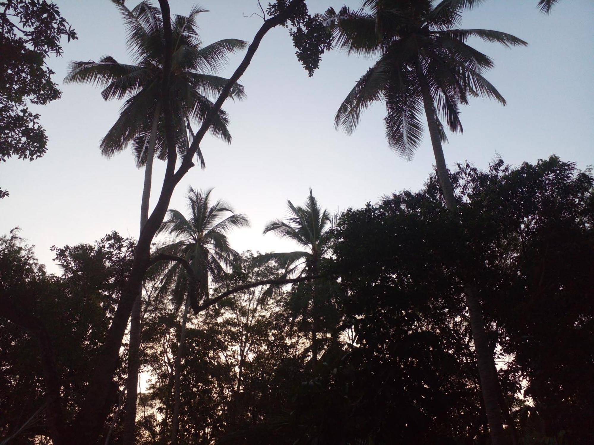 Hotel Golden Bell Tangalle Exterior foto