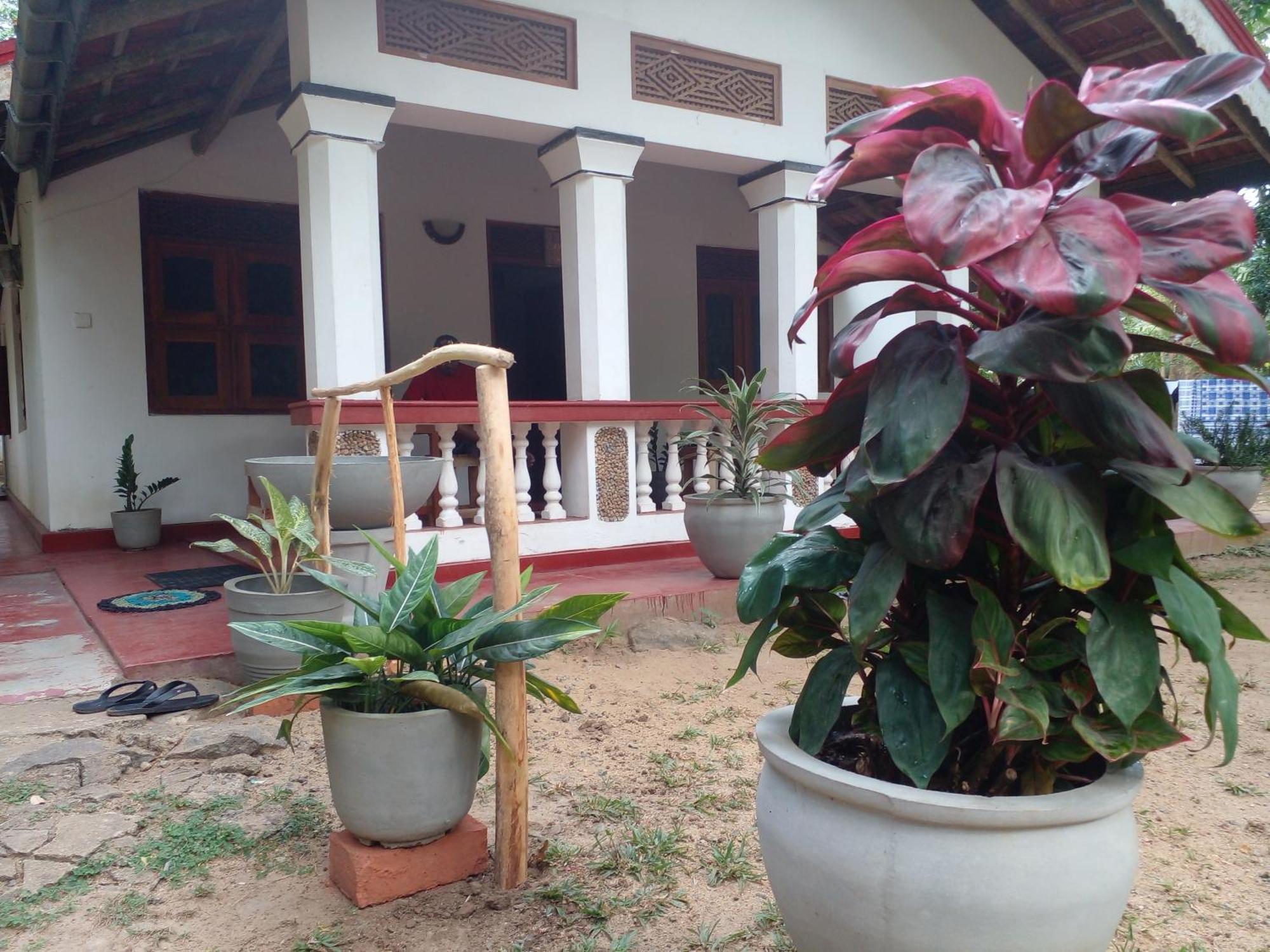 Hotel Golden Bell Tangalle Exterior foto